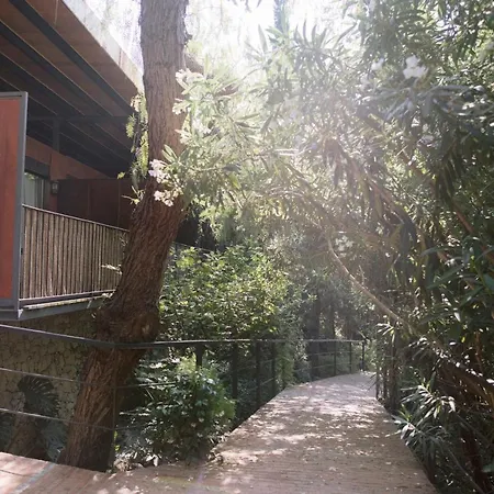Mont-sant Xàtiva (Játiva)